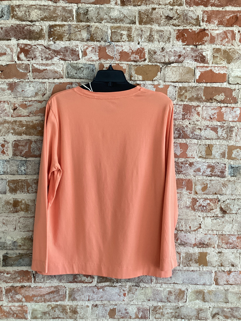 Inspired Long Sleeve Neck Top